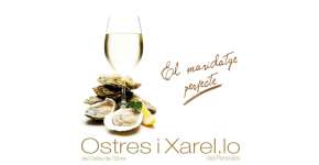 Ostras del delta del Ebro y xarel·lo del Penedés