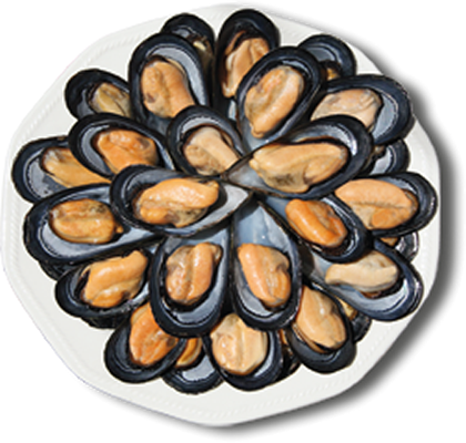 Mejillones